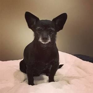 Meet your Posher, Alana